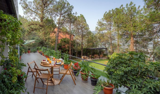 Location maison de vacances Kasauli, Himachal Pradesh dans la nature avec petit-déjeuner et ménage