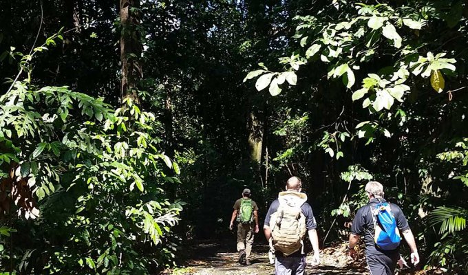 Trekking dans la jungle