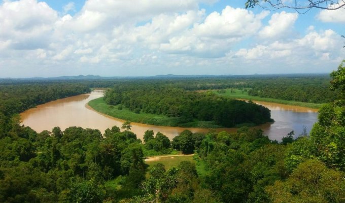 Rivière Kinabatangan