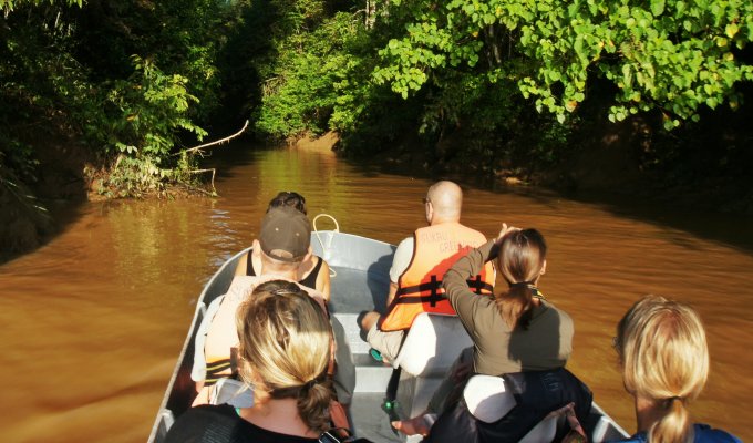 Croisière sur la rivière Kinabatangan