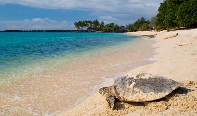 Parc de l'île de la Tortue