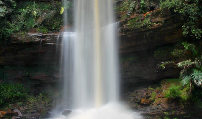 Bassin de Maliau Sabah