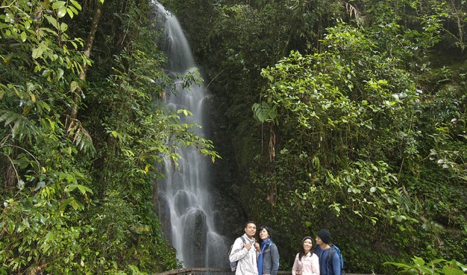 Parc Crocker Range Sabah