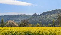 Sarlat photo #42