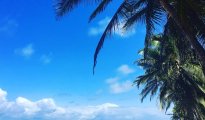 Diani Beach photo #14