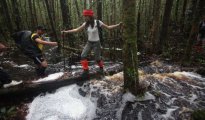Tawau photo #1