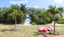 Praslin photo #14