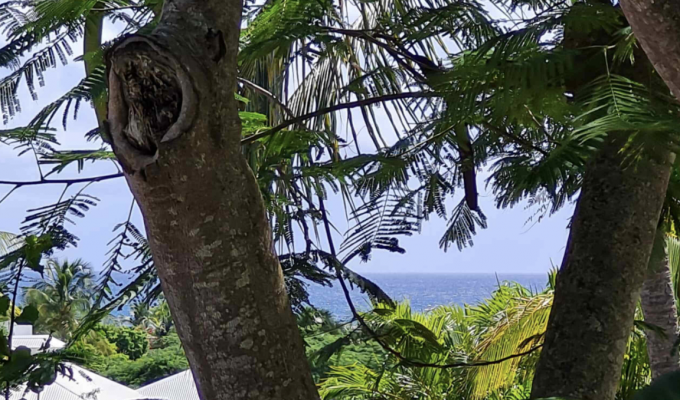 Location Villa Guadeloupe Sainte Anne piscine privée plage à pieds, 16 pers