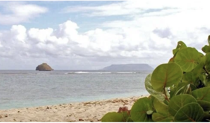 Plage anse à la Gourde