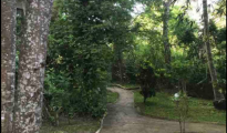 Diani Beach photo #10
