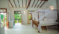 Galle photo #7