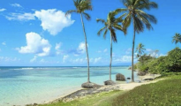 Sainte Anne photo #12