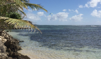Sainte Anne photo #5