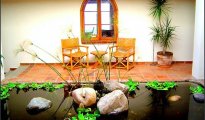 Puerto Vallarta photo #6