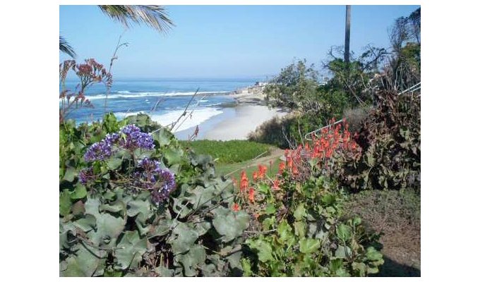 La Jolla  Plage