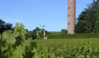 Belleville sur Saone photo #9