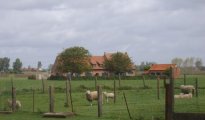 Ypres photo #2