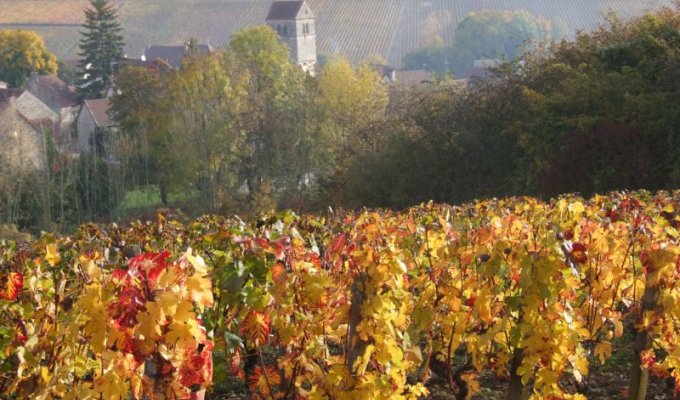 Domaine de la Combotte Chambres d'Hotes avec Piscine en Bourgogne près de Beaune