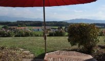 Fribourg photo #6