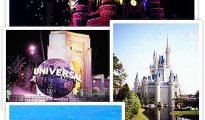 Orlando photo #11