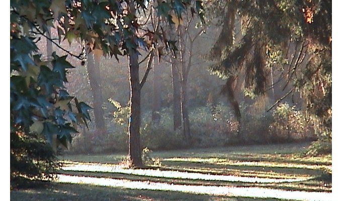 parc à l 'aube