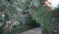 Rome photo #4