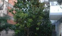 Rome photo #5