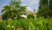 Saint Emilion photo #10