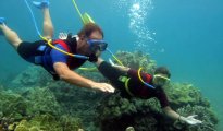 St Maarten photo #10