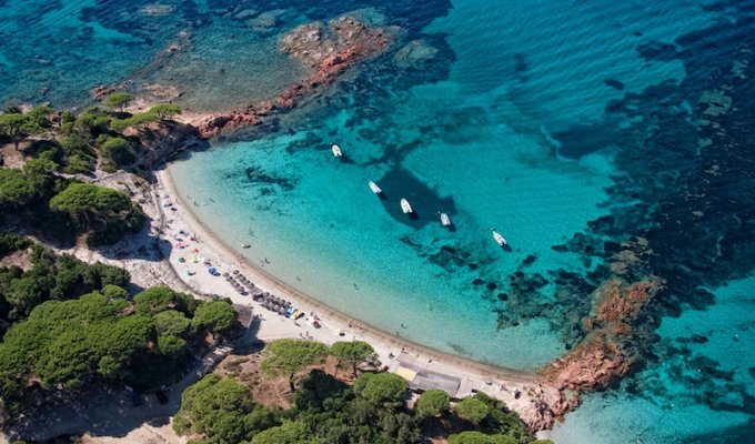 La plage de Palombaggia à 10mn de l'apartement