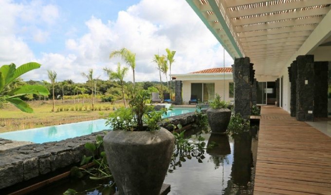 Terrasse et piscine