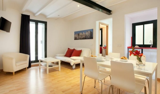 Location appartement Barcelone Wifi climatisation terrasse proche sites touristiques