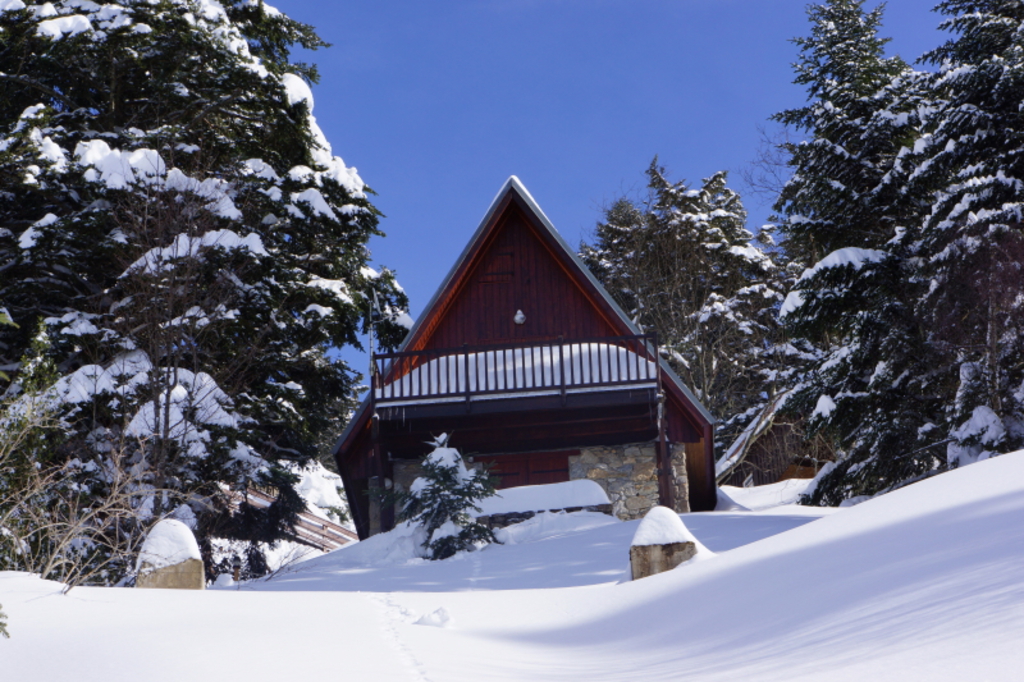 location chalet ski guzet