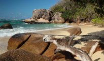 Anse Consolation photo #3