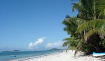 Grand Anse photo #8