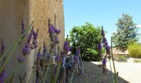 Luberon photo #4