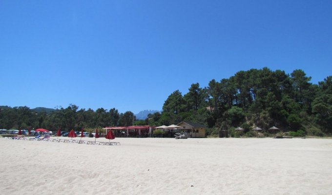 Location Villa Solenzara 11 Pers Vue Mer et Port Acces Prive A La plage Corse