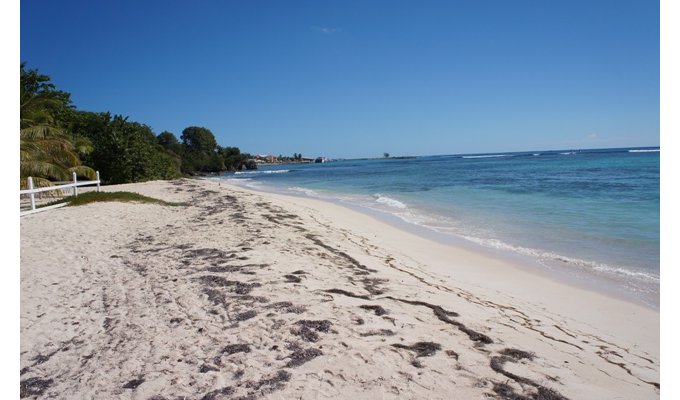 Location Villa Guadeloupe pieds dans l’eau piscine privée Saint François