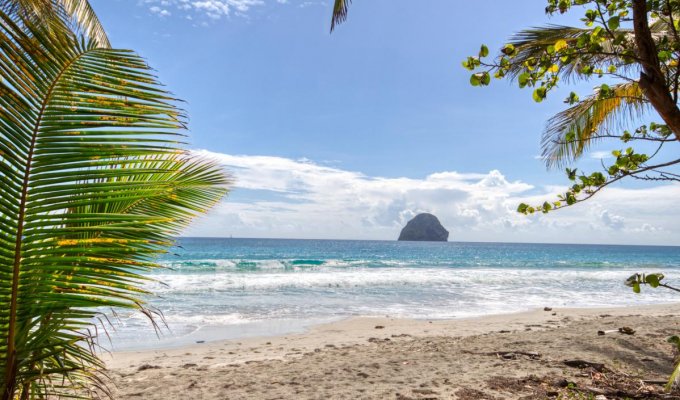 Location villa Martinique Le Diamant pieds dans l’eau avec piscine et jardin privés