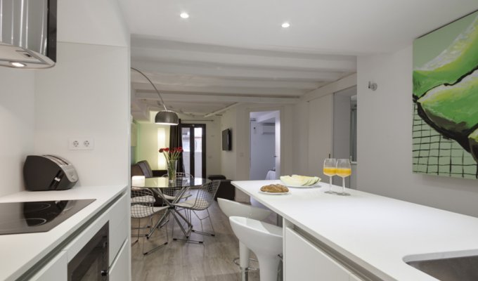 Location appartement barcelone Plaza Españaavec terasse et wifi