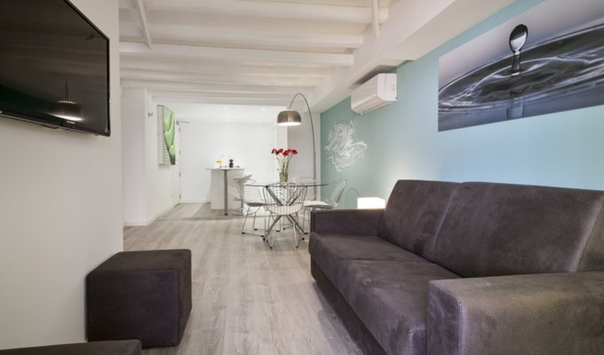 Location appartement barcelone Plaza Españaavec terasse et wifi