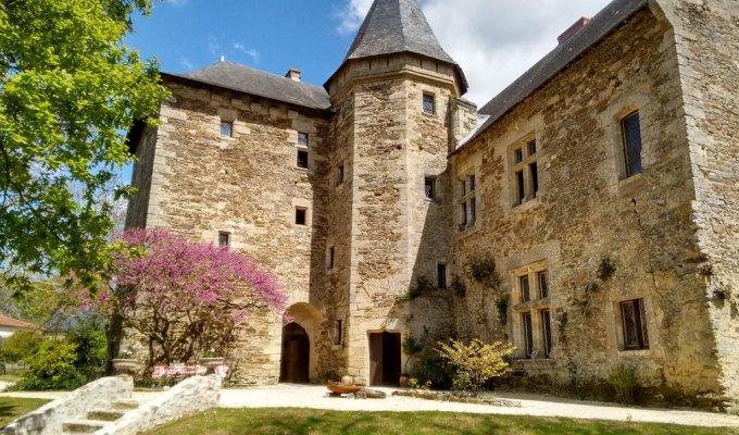 Pays de la Loire Location Chateau avec piscine entre Saumur et Angers