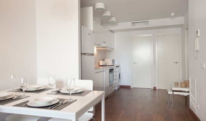 Location appartement barcelone Plaza España penthouse 2 chambres avec terrasse privée