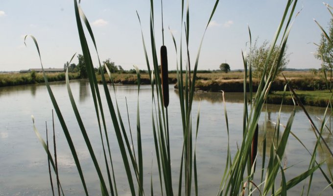 Vendee Location Villa Challans avec piscine