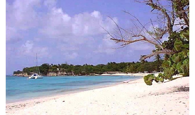 Résidence hôtelière location de bungalows ****Pscine commune face à la mer Deshaies Guadeloupe Basse Terre