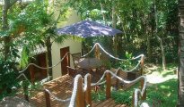 Florianópolis photo #6