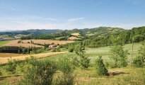Citta´di Castello photo #7