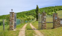 Lac Trasimene photo #27