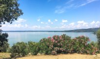 Lac Trasimene photo #30