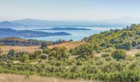 Lac Trasimene photo #7